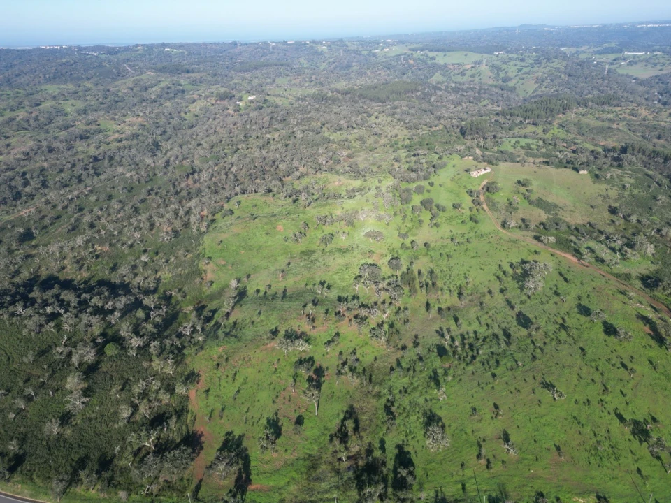 Quinta para Venda em Santiago do Cacém, Santa Cruz e São Bartolomeu da Serra Foto 24
