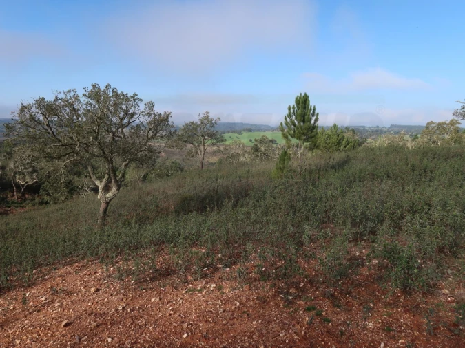 Quinta para Venda em Santiago do Cacém, Santa Cruz e São Bartolomeu da Serra Foto 2