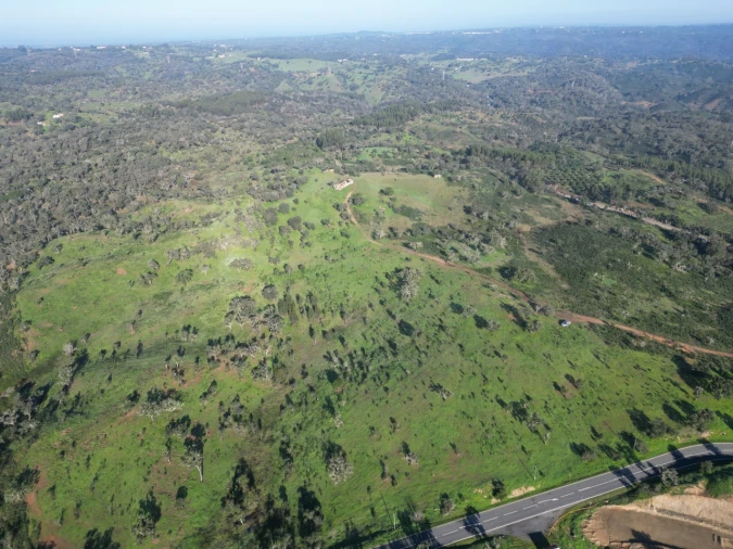 Quinta para Venda em Santiago do Cacém, Santa Cruz e São Bartolomeu da Serra Foto 22