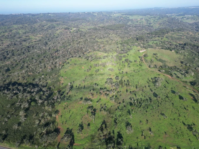 Quinta para Venda em Santiago do Cacém, Santa Cruz e São Bartolomeu da Serra Foto 24