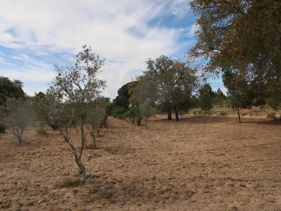 Quinta T2 para Venda em Melides Foto 5