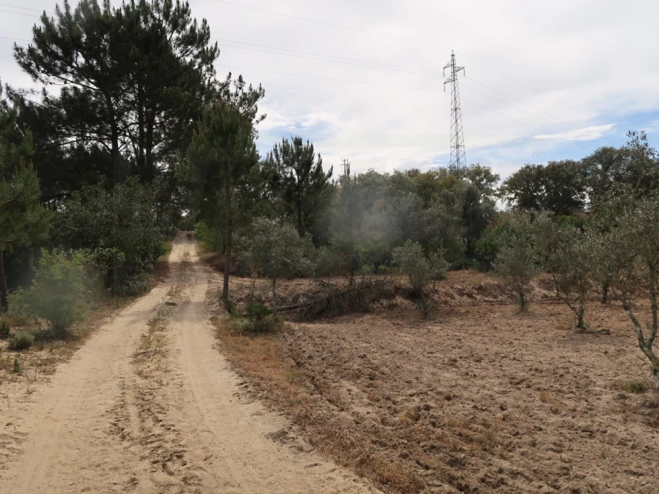 Quinta T2 para Venda em Melides Foto 7