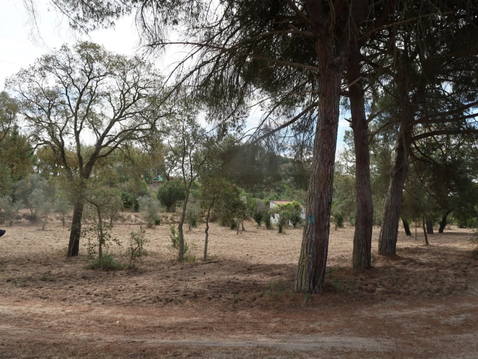 Quinta T2 para Venda em Melides Foto 9