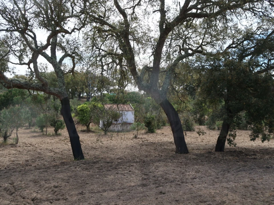 Quinta T2 para Venda em Melides Foto 10