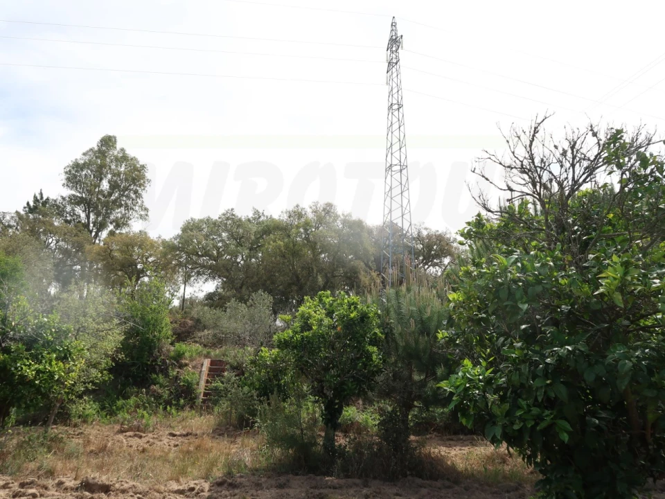 Quinta T2 para Venda em Melides Foto 17
