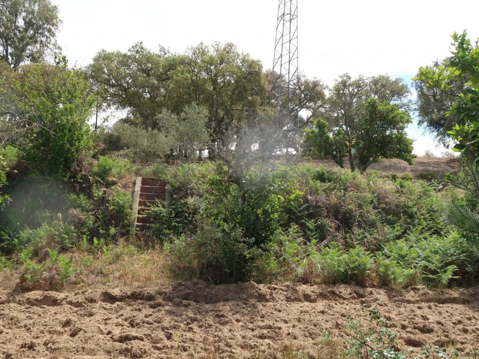 Quinta T2 para Venda em Melides Foto 20