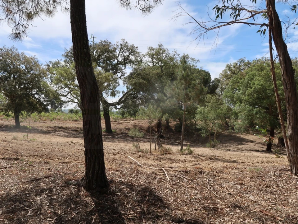 Quinta T2 para Venda em Melides Foto 23