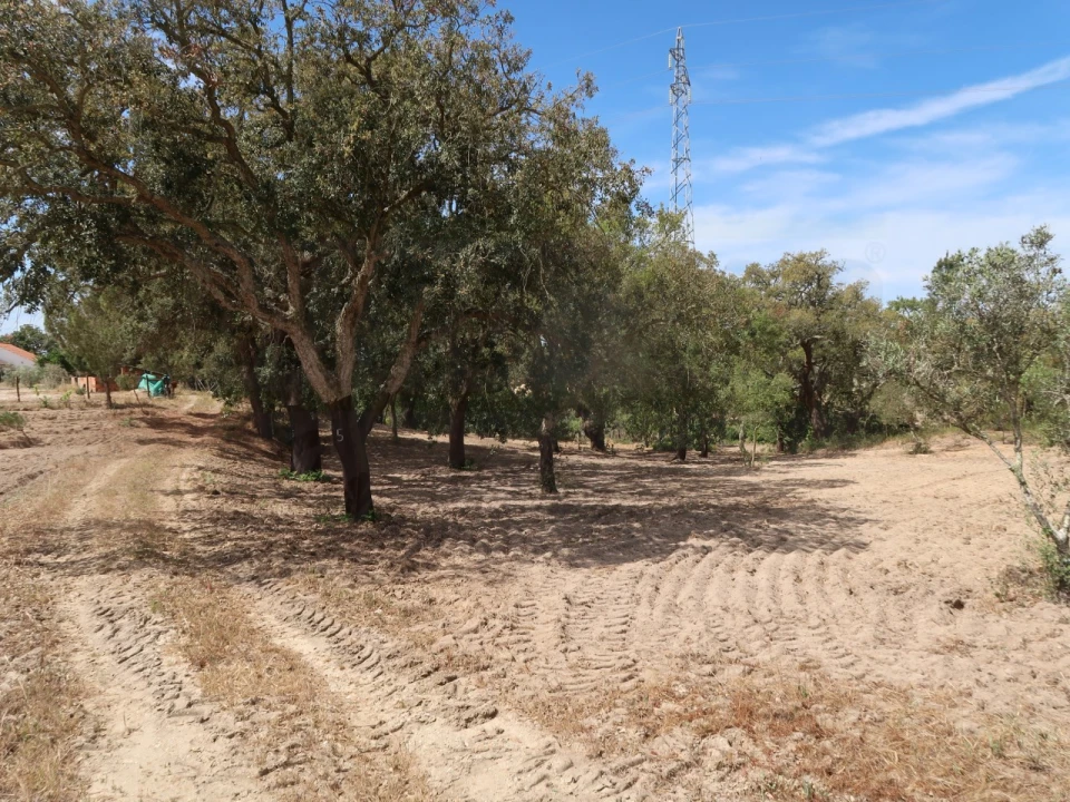 Quinta T2 para Venda em Melides Foto 24