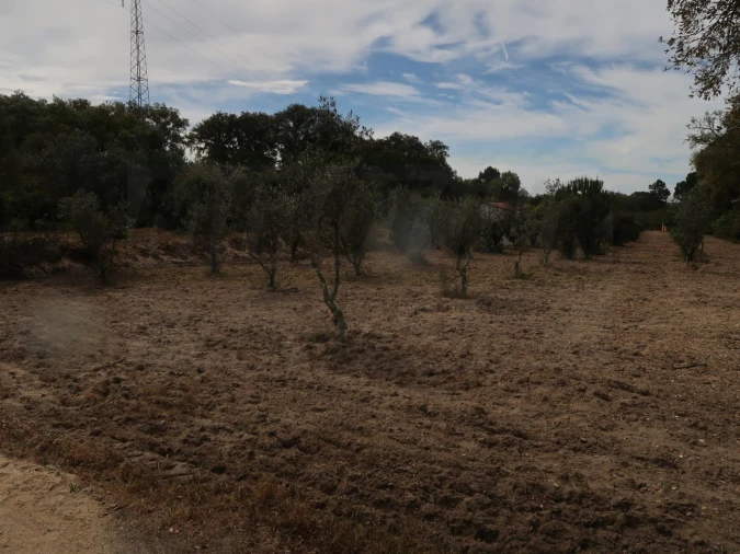 Quinta T2 para Venda em Melides Foto 4