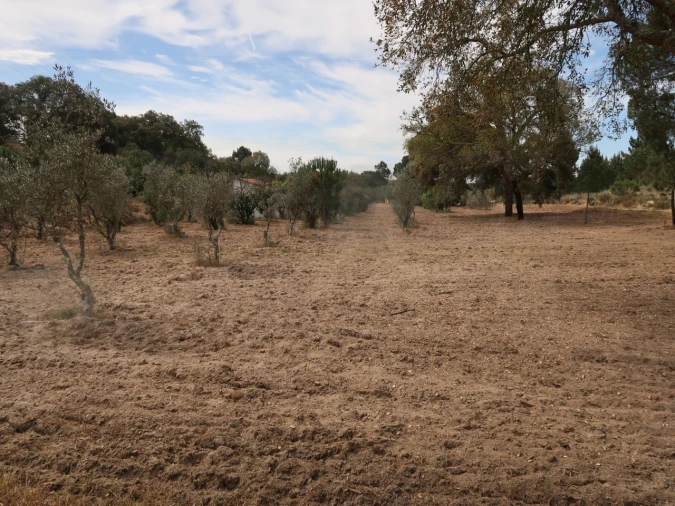 Quinta T2 para Venda em Melides Foto 6