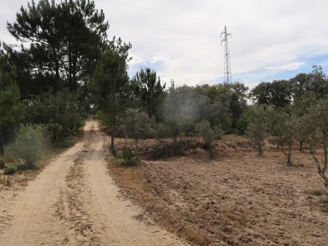Quinta T2 para Venda em Melides Foto 7