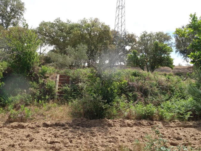 Quinta T2 para Venda em Melides Foto 20