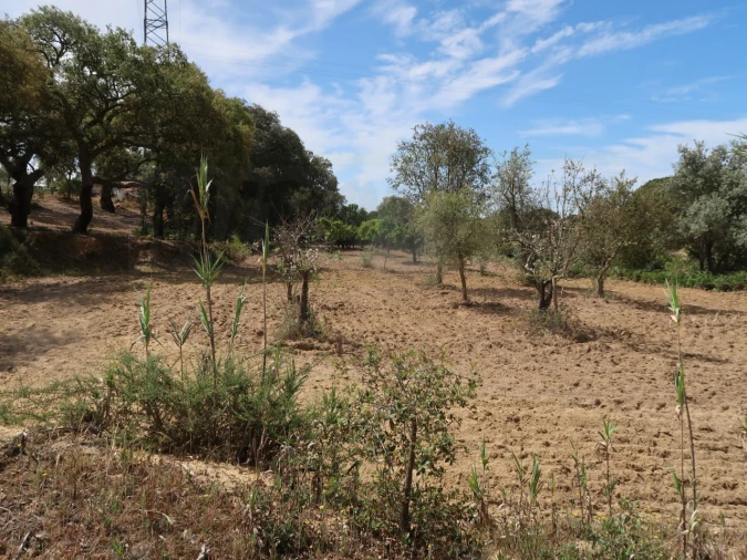 Quinta T2 para Venda em Melides Foto 21