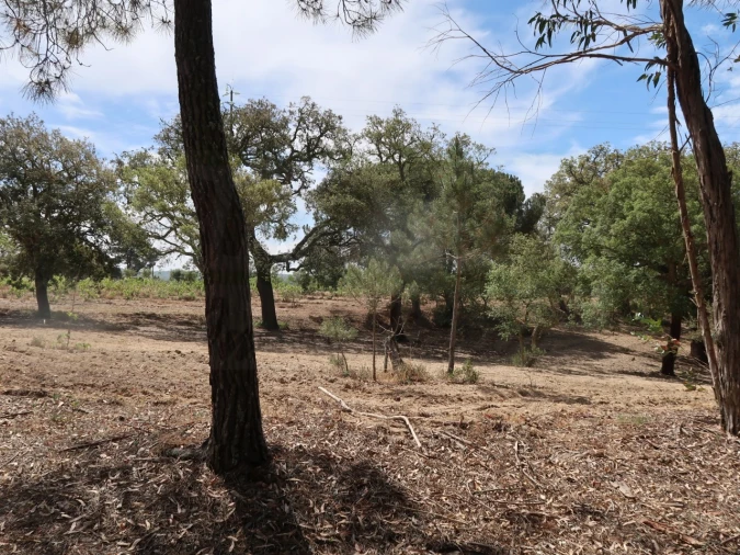 Quinta T2 para Venda em Melides Foto 23