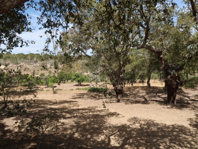 Quinta T2 para Venda em Melides Foto 28