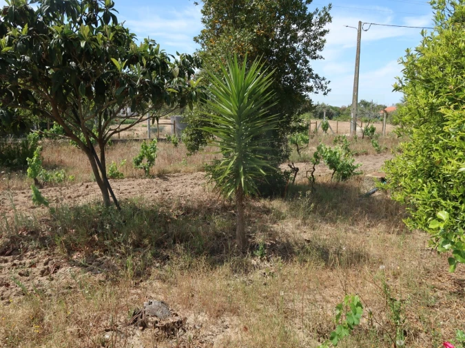 Quinta T2 para Venda em Melides Foto 35