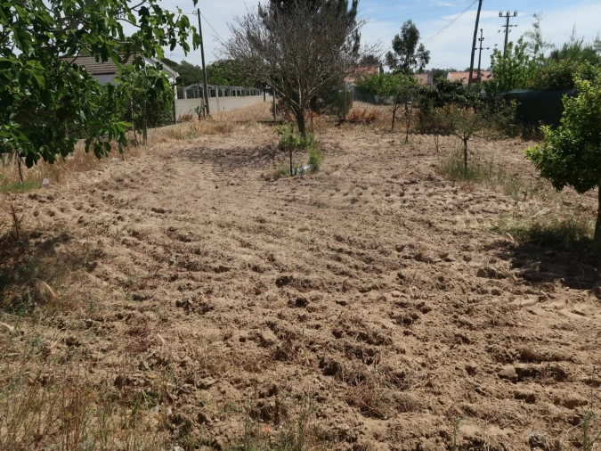 Quinta T2 para Venda em Melides Foto 46