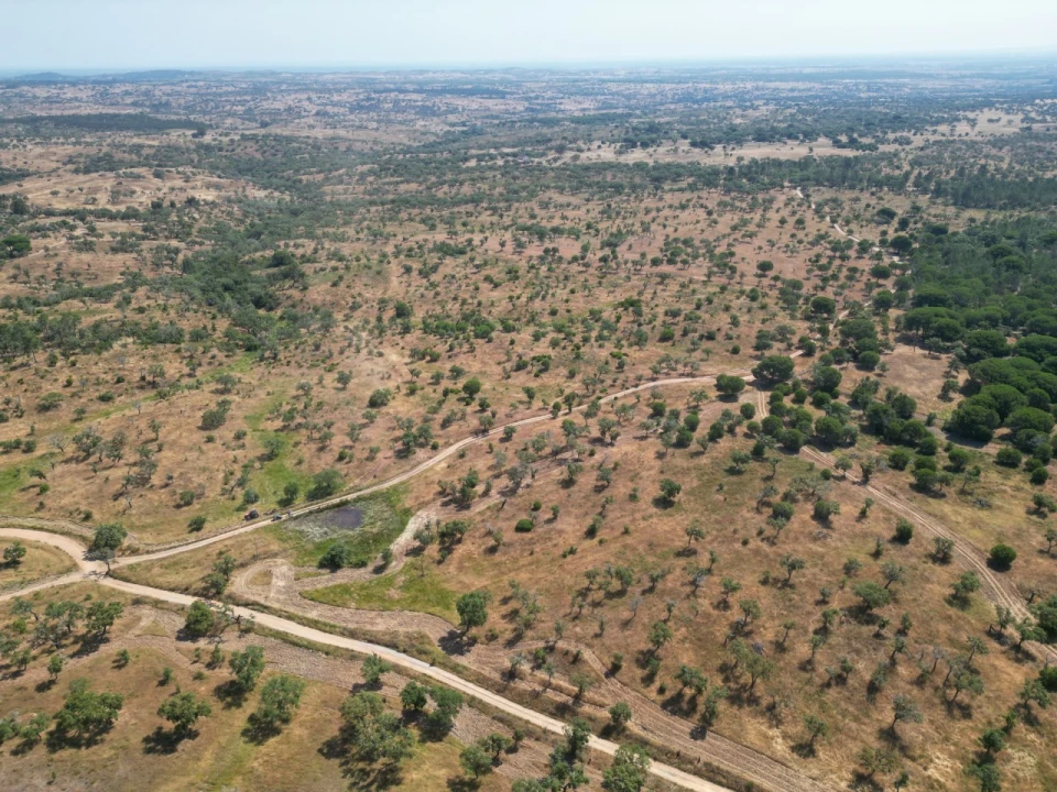 Terreno Agricola ou Rústico para Venda em Abela Foto 22