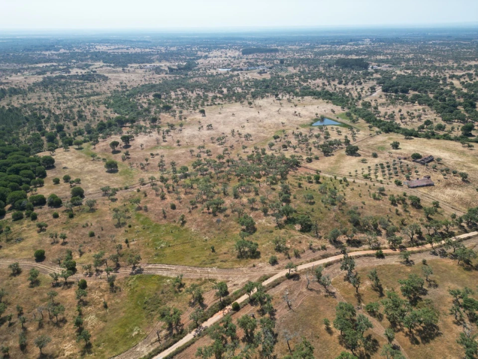 Terreno Agricola ou Rústico para Venda em Abela Foto 23