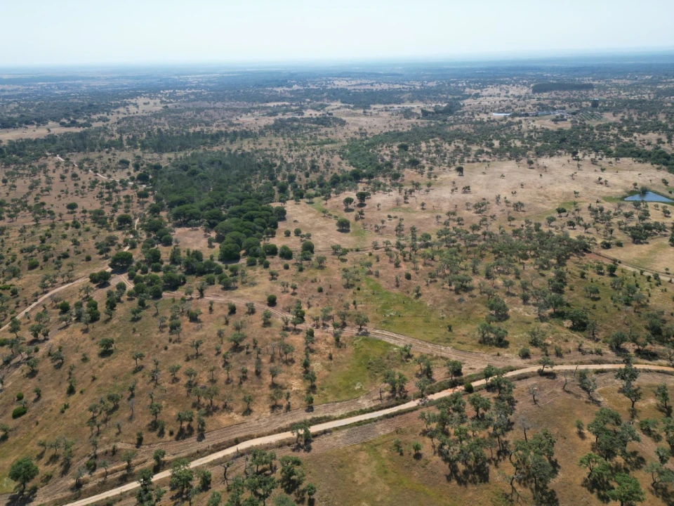 Terreno Agricola ou Rústico para Venda em Abela Foto 24