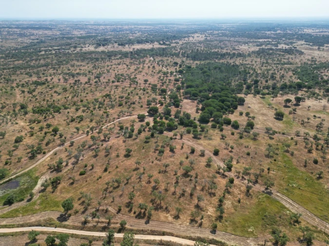 Terreno Agricola ou Rústico para Venda em Abela Foto 2