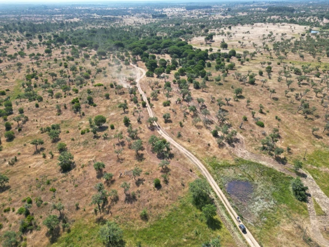 Terreno Agricola ou Rústico para Venda em Abela Foto 17