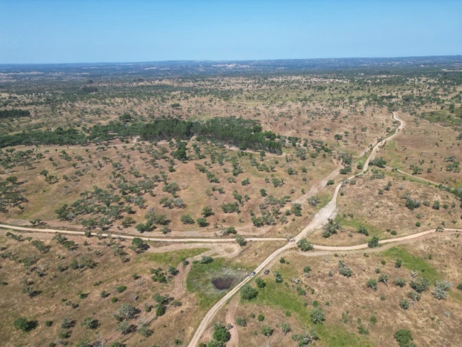 Terreno Agricola ou Rústico para Venda em Abela Foto 26