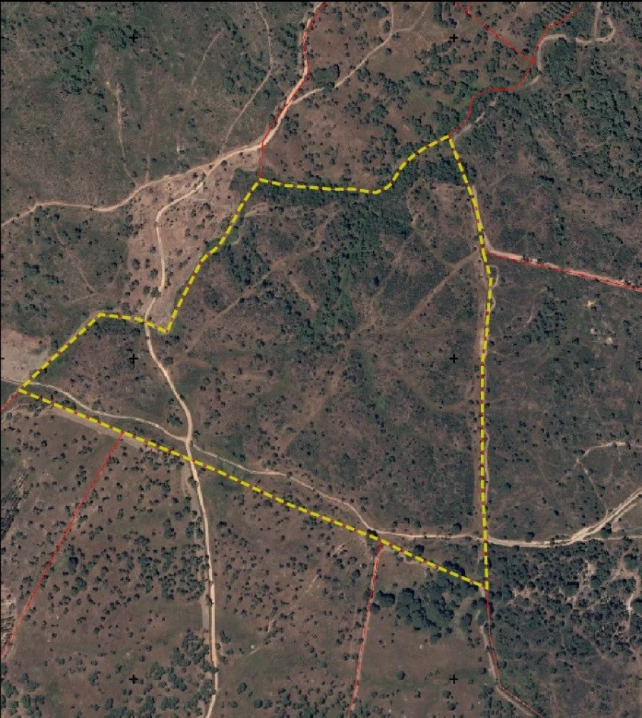 Terreno Agricola ou Rústico para Venda em Abela Planta 1