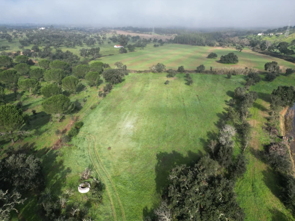 Quinta para Venda em São Domingos e Vale de Água Foto 1