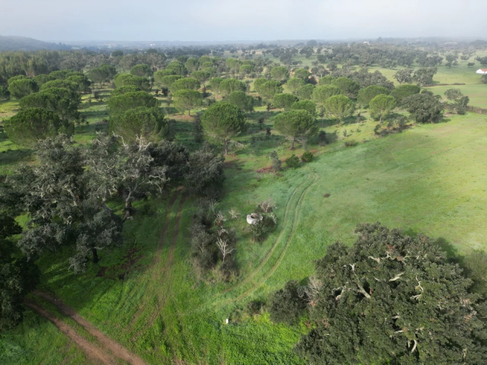 Quinta para Venda em São Domingos e Vale de Água Foto 4