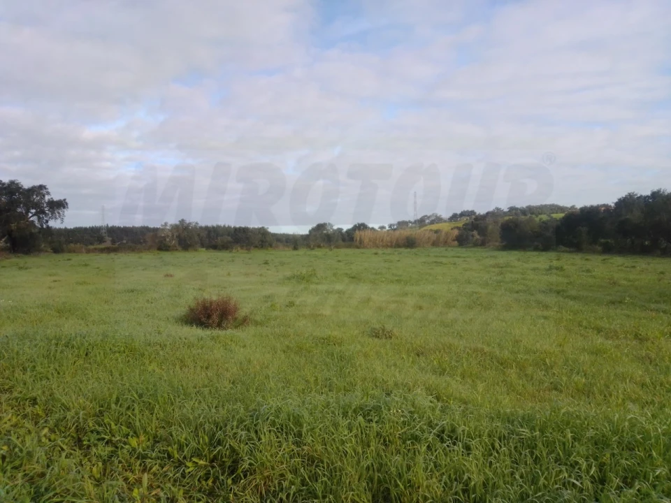 Quinta para Venda em São Domingos e Vale de Água Foto 6