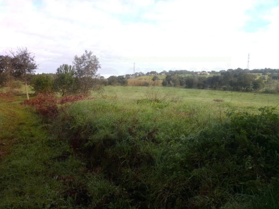 Quinta para Venda em São Domingos e Vale de Água Foto 8