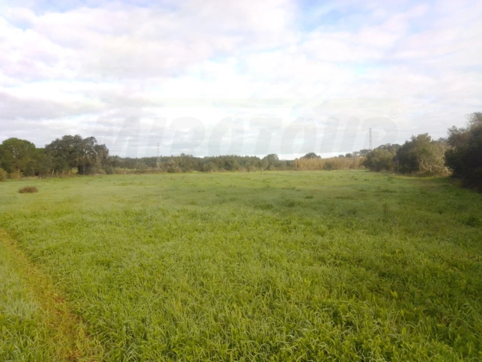Quinta para Venda em São Domingos e Vale de Água Foto 9