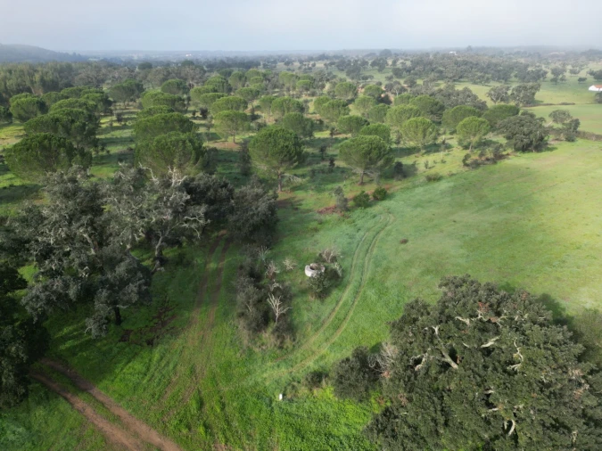 Quinta para Venda em São Domingos e Vale de Água Foto 4