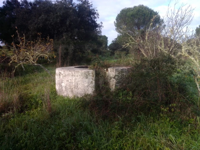 Quinta para Venda em São Domingos e Vale de Água Foto 5