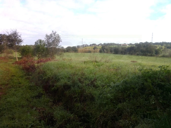 Quinta para Venda em São Domingos e Vale de Água Foto 8
