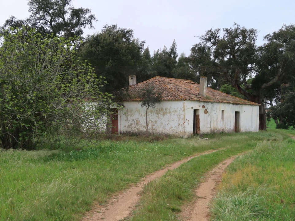 Quinta para Venda em São Domingos e Vale de Água Foto 4