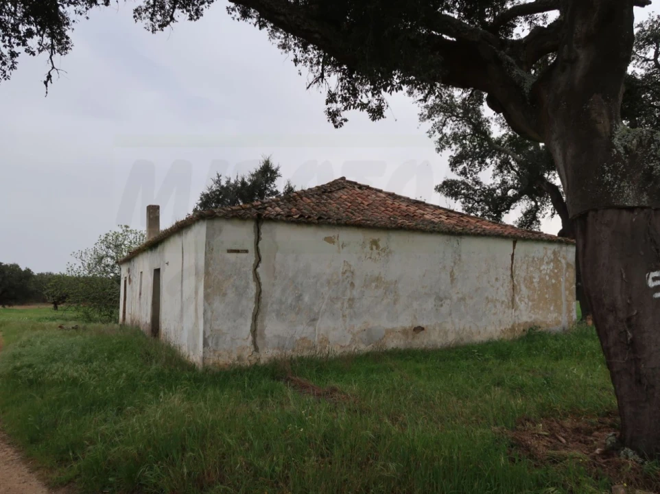 Quinta para Venda em São Domingos e Vale de Água Foto 5