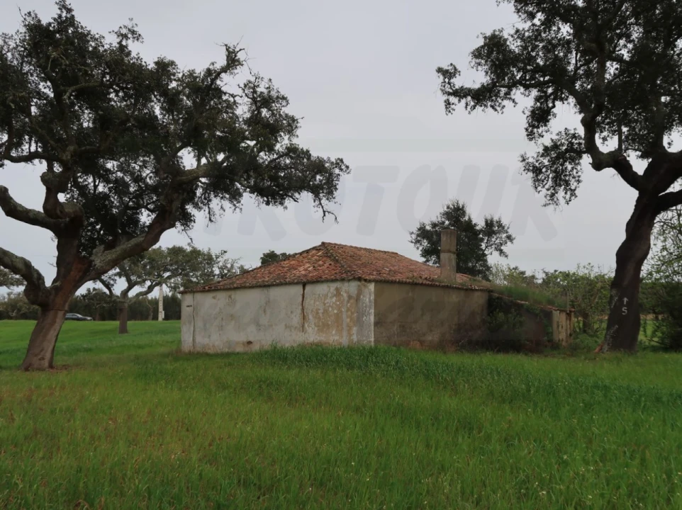 Quinta para Venda em São Domingos e Vale de Água Foto 6