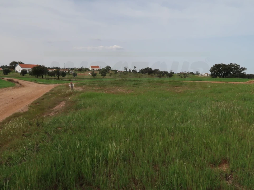 Quinta para Venda em São Domingos e Vale de Água Foto 25