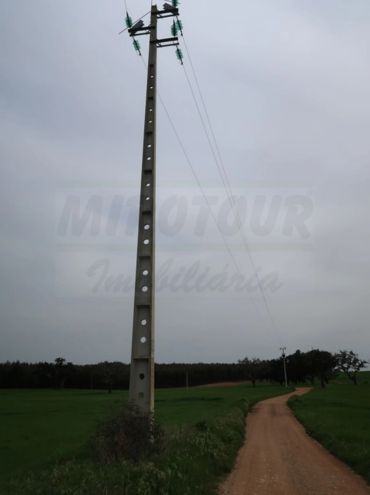 Quinta para Venda em São Domingos e Vale de Água Foto 30