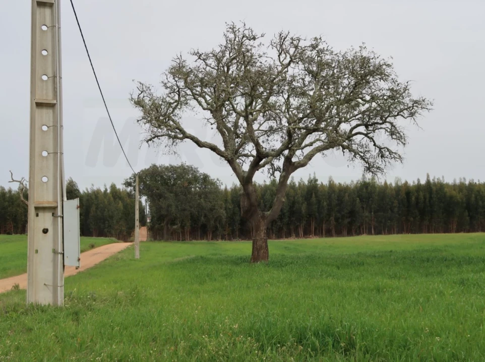Quinta para Venda em São Domingos e Vale de Água Foto 37