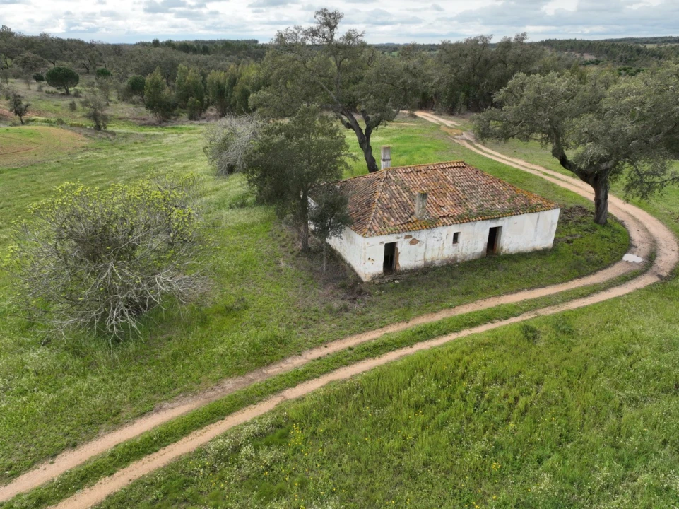 Quinta para Venda em São Domingos e Vale de Água Foto 2