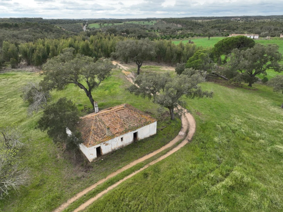 Quinta para Venda em São Domingos e Vale de Água Foto 39