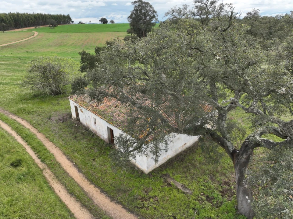 Quinta para Venda em São Domingos e Vale de Água Foto 40