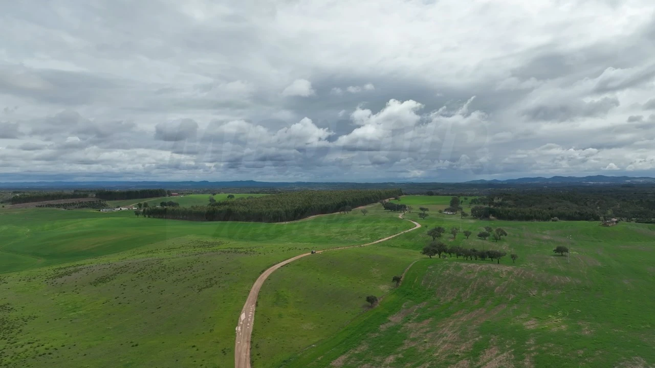 Quinta para Venda em São Domingos e Vale de Água Foto 3