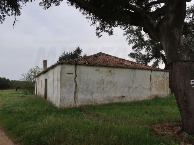 Quinta para Venda em São Domingos e Vale de Água Foto 5