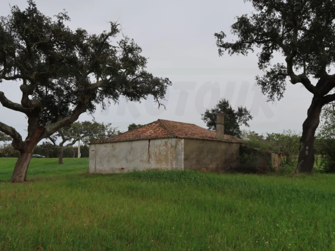 Quinta para Venda em São Domingos e Vale de Água Foto 6