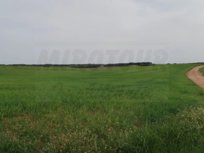 Quinta para Venda em São Domingos e Vale de Água Foto 22