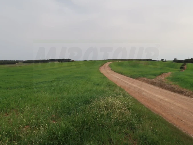 Quinta para Venda em São Domingos e Vale de Água Foto 23